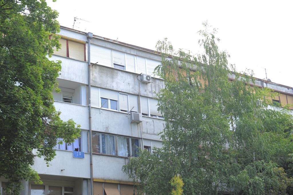 Apartment Daca Stan 베오그라드 외부 사진