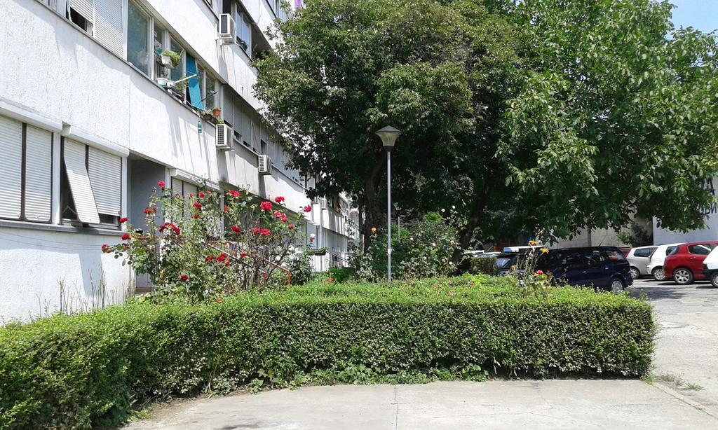 Apartment Daca Stan 베오그라드 외부 사진